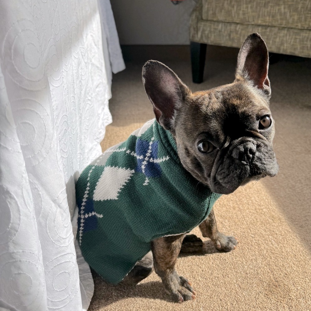 “Fashion is knowing you can conquer the world”-Astro